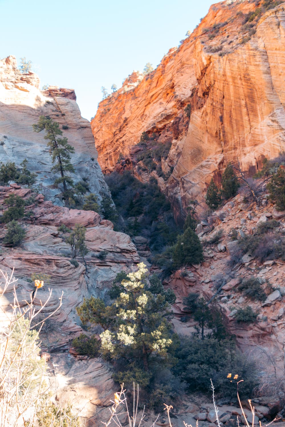 Zion Secret Trails. Shelf Canyon Hike - Roads and Destinations