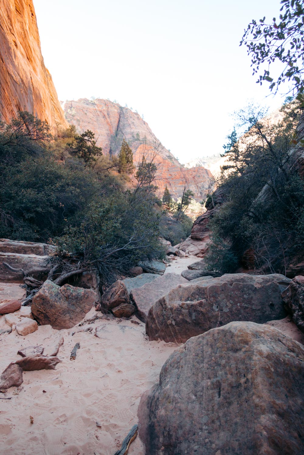 Zion Secret Trails. Shelf Canyon Hike - Roads and Destinations