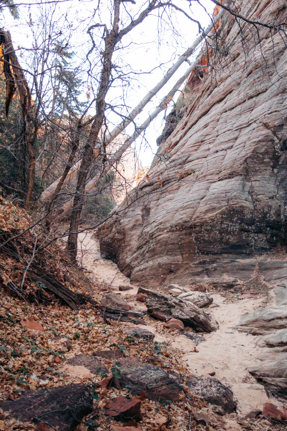 Zion Secret Trails. Shelf Canyon Hike - Roads and Destinations