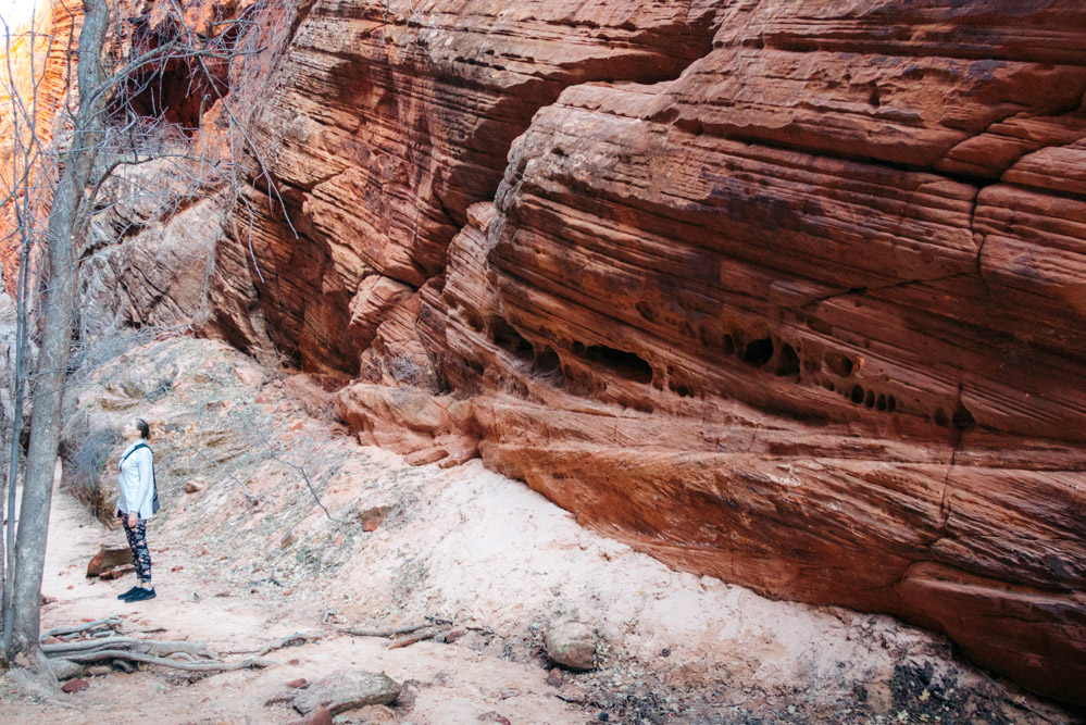 Zion Secret Trails. Shelf Canyon Hike - Roads and Destinations