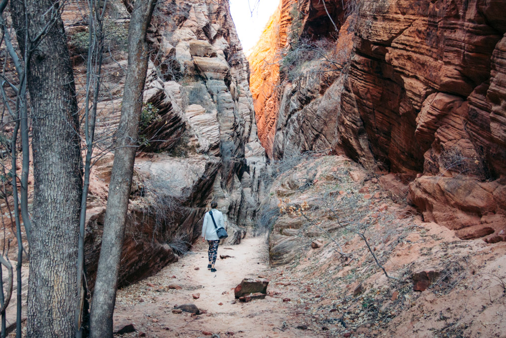 Zion Secret Trails. Shelf Canyon Hike - Roads and Destinations