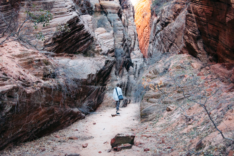 Zion Secret Trails. Shelf Canyon Hike - Roads and Destinations