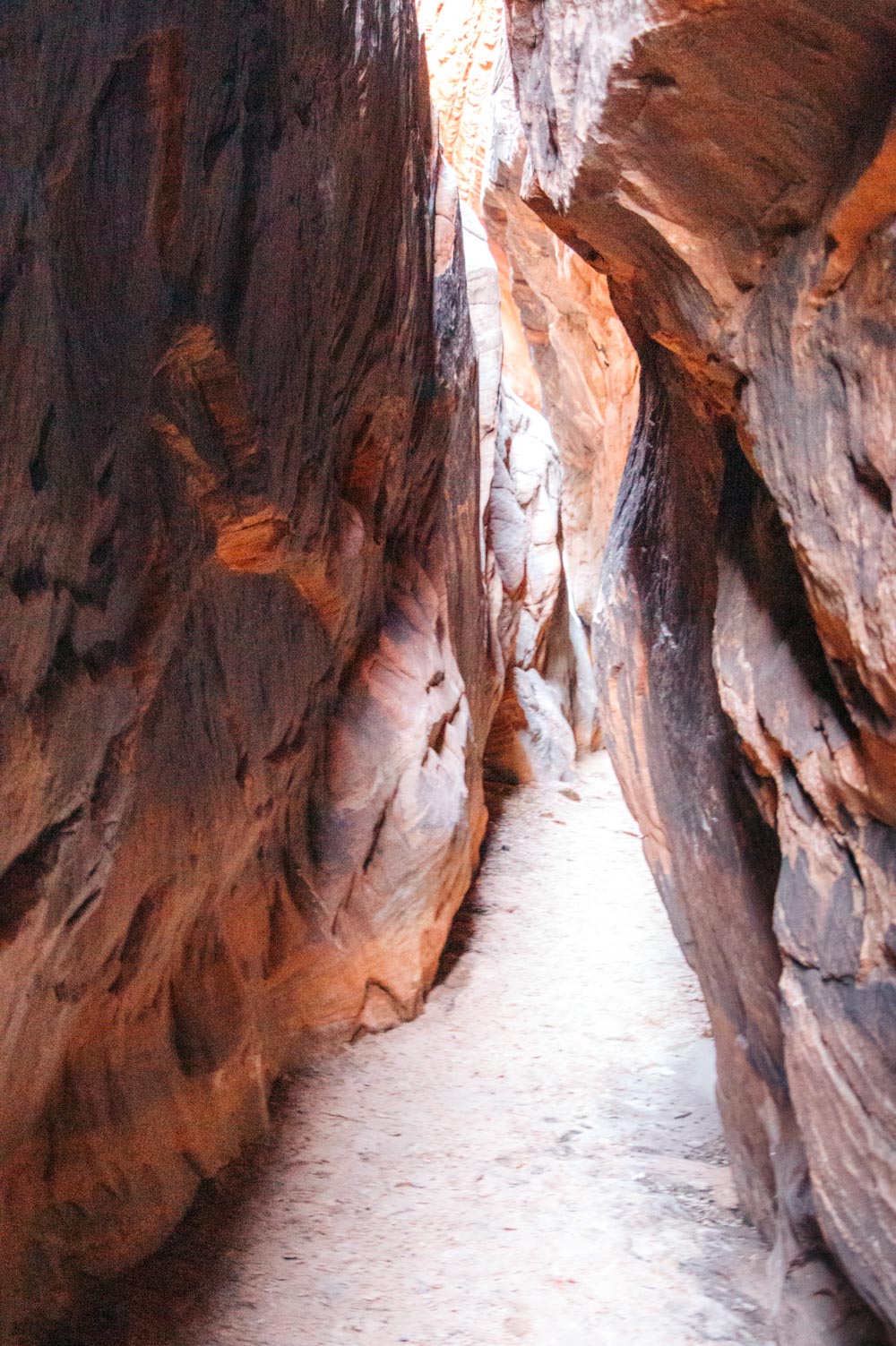 Zion Secret Trails. Shelf Canyon Hike - Roads and Destinations