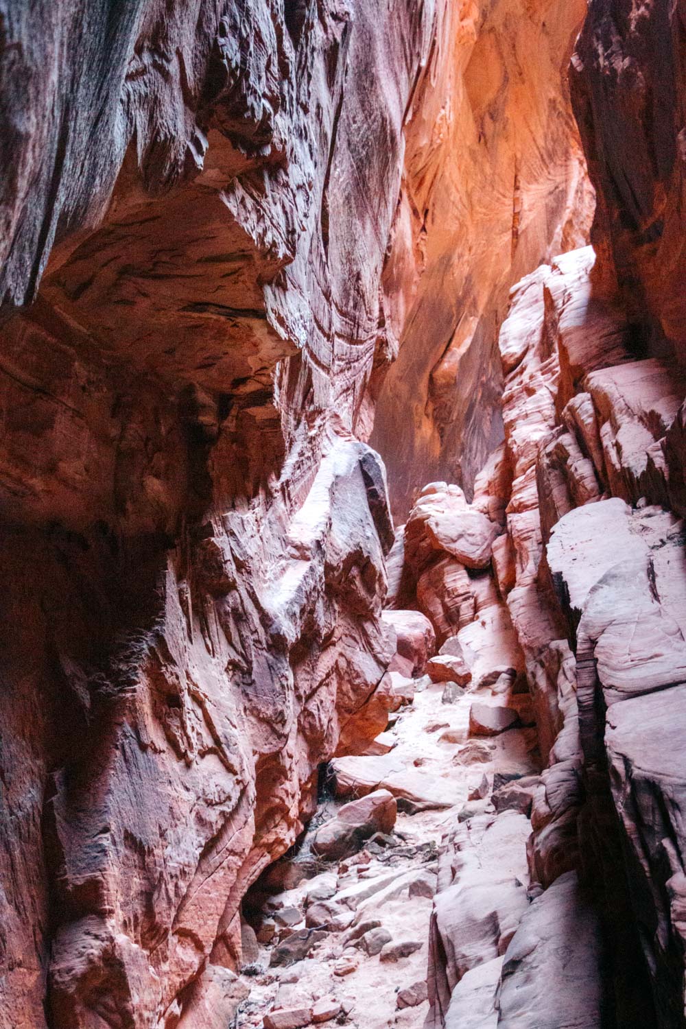 Zion Secret Trails. Shelf Canyon Hike - Roads and Destinations