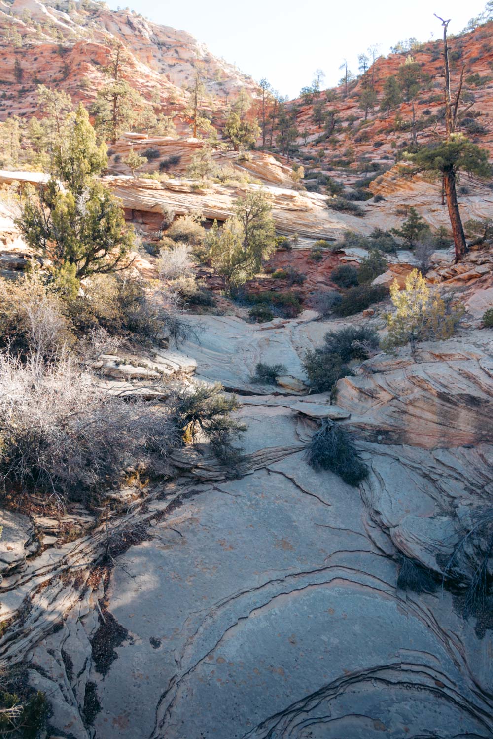 Zion Secret Trails - Roads and Destinations