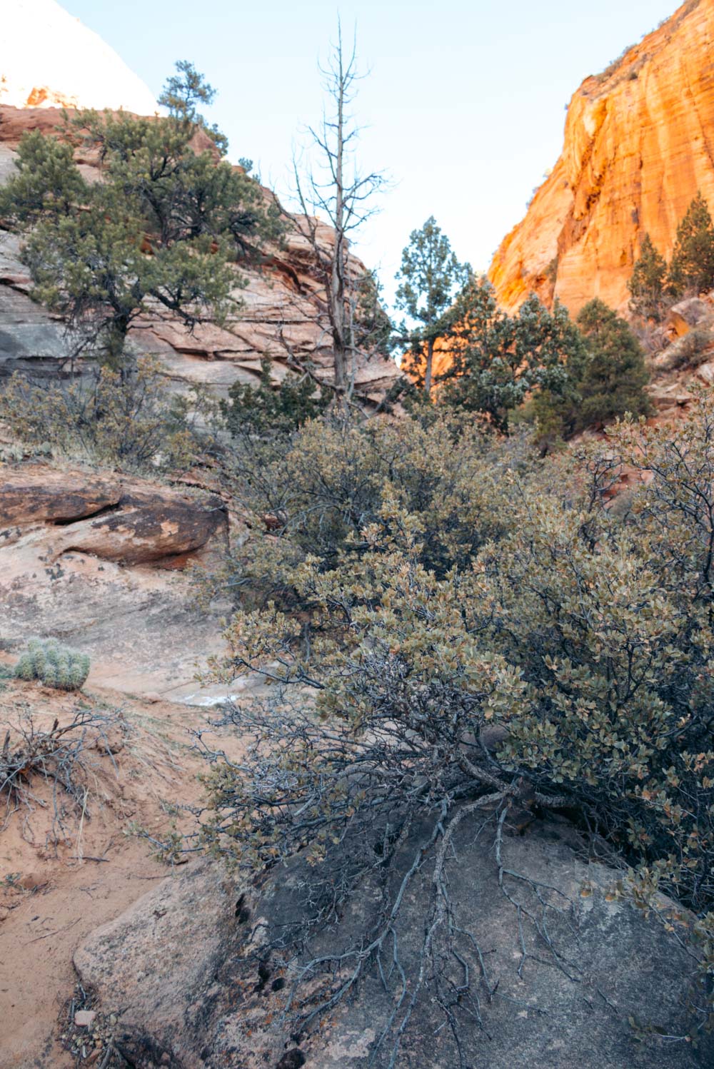 Zion Secret Trails. Shelf Canyon Hike - Roads and Destinations