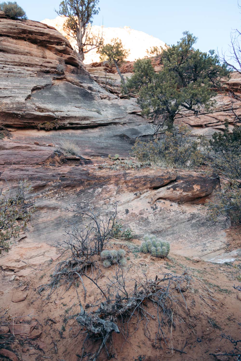 Zion Secret Trails - Roads and Destinations