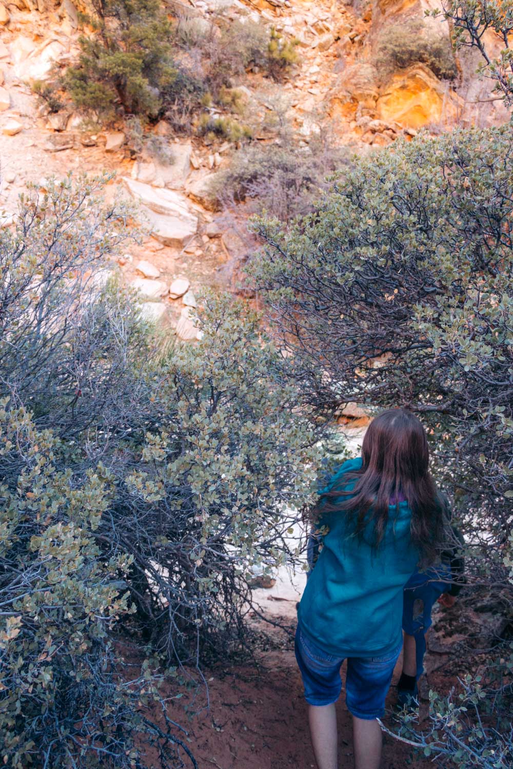 Zion Secret Trails. Shelf Canyon Hike - Roads and Destinations