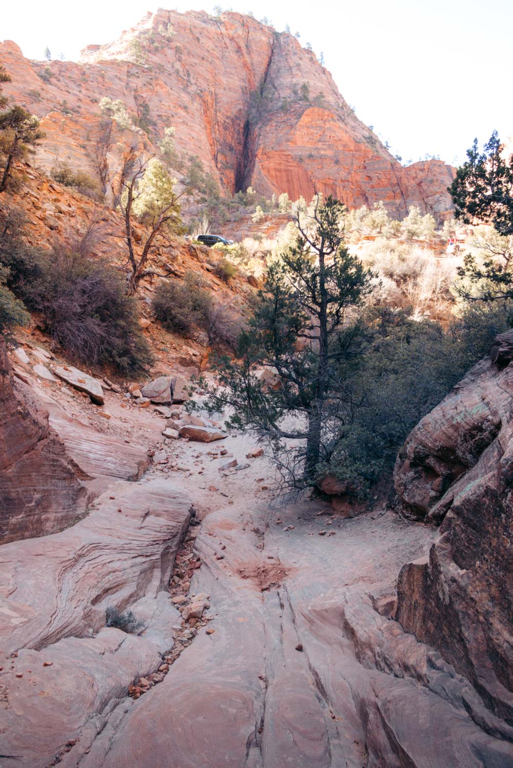 Zion Secret Trails. Shelf Canyon Hike - Roads and Destinations