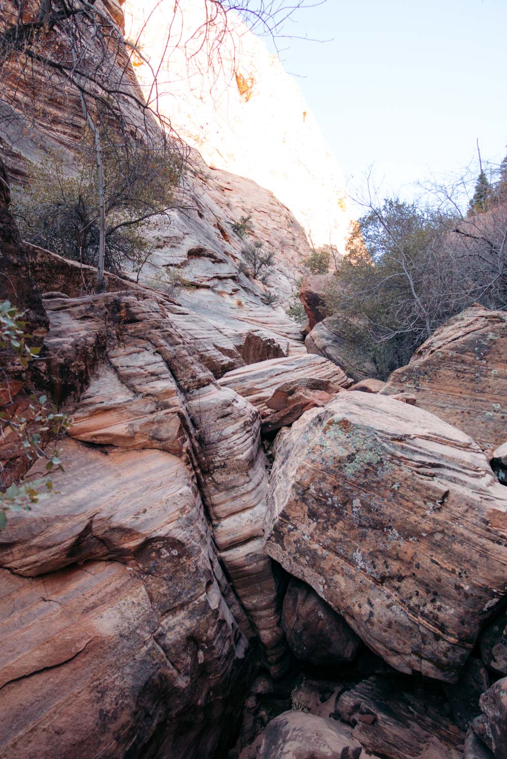 Zion Secret Trails. Shelf Canyon Hike - Roads and Destinations