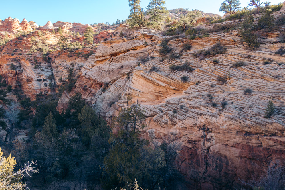 Zion Secret Trails. Shelf Canyon Hike - Roads and Destinations