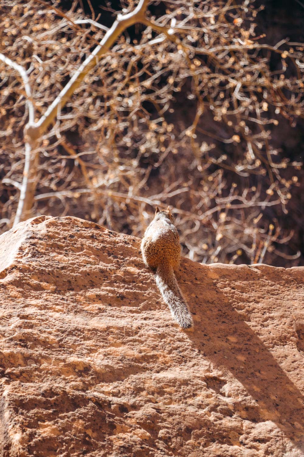 2 Days in Zion National Park. A Weekend Itinerary - Roads and Destinations