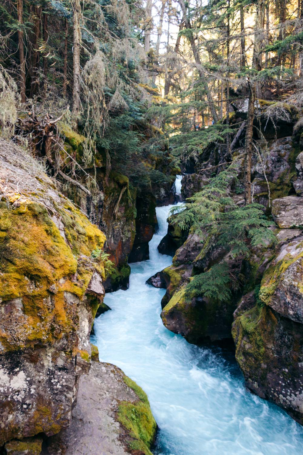 Avalanche Lake Hike via the Trail of the Cedars - Roads and Destinations