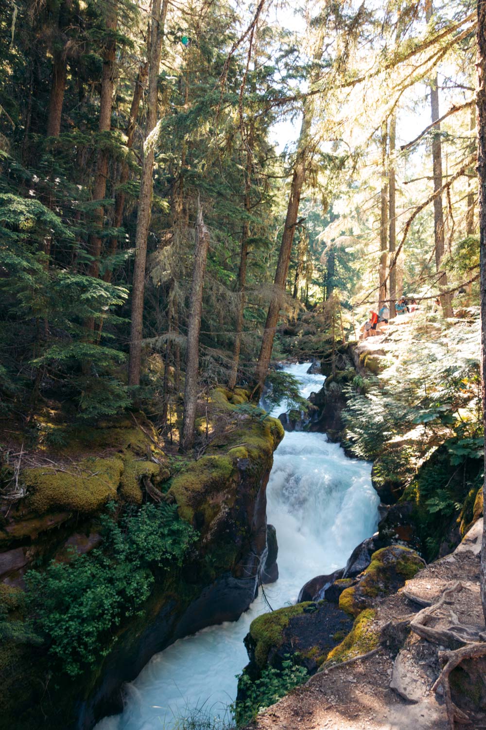 Avalanche Lake Hike via the Trail of the Cedars - Roads and Destinations