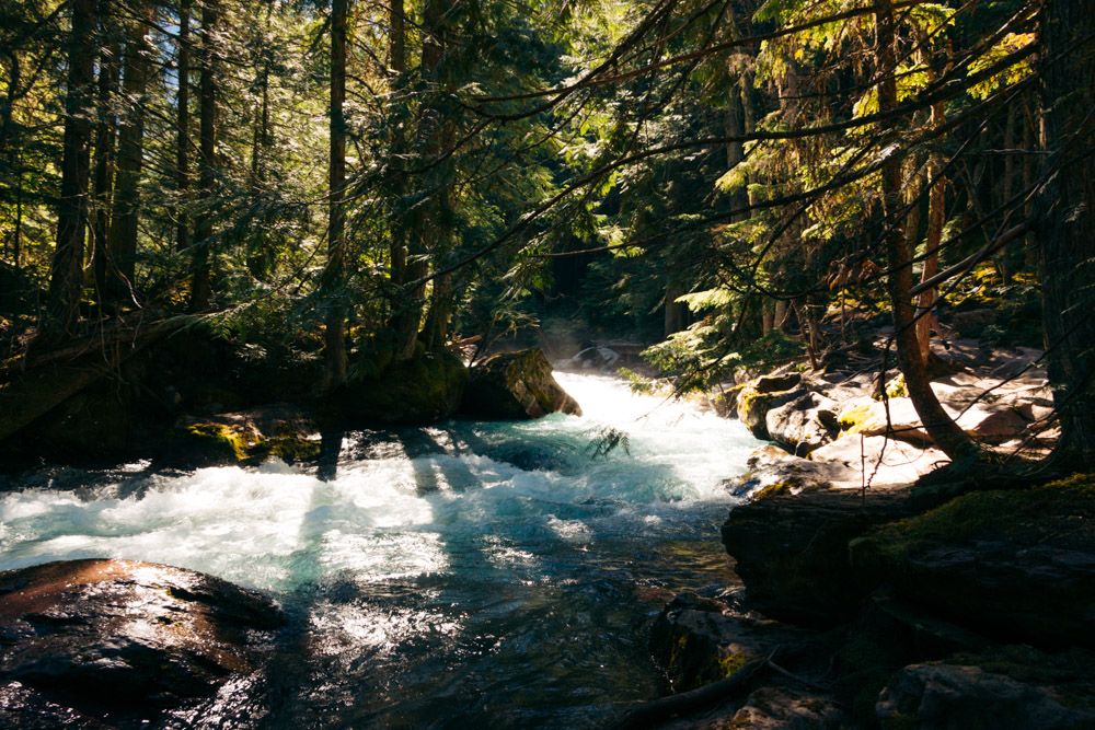 Avalanche Lake Hike via the Trail of the Cedars - Roads and Destinations