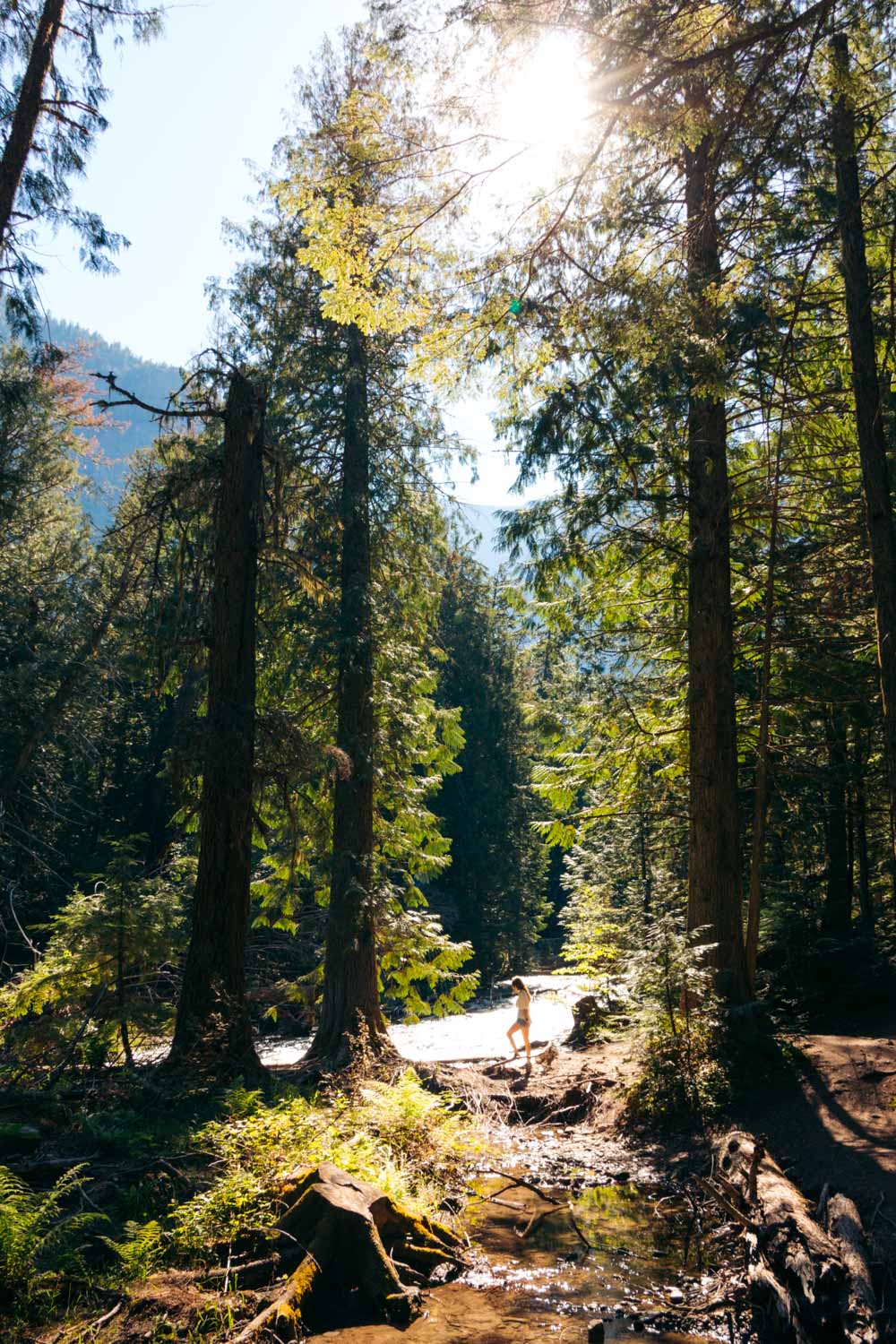 West Glacier - Roads and Destinations