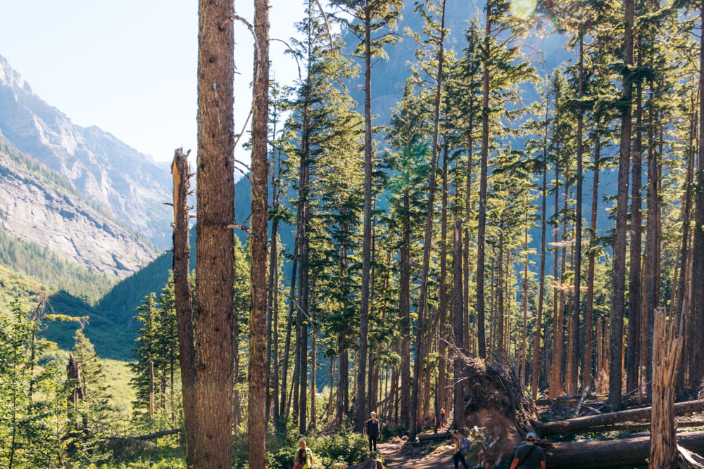 Avalanche Lake Hike via the Trail of the Cedars - Roads and Destinations