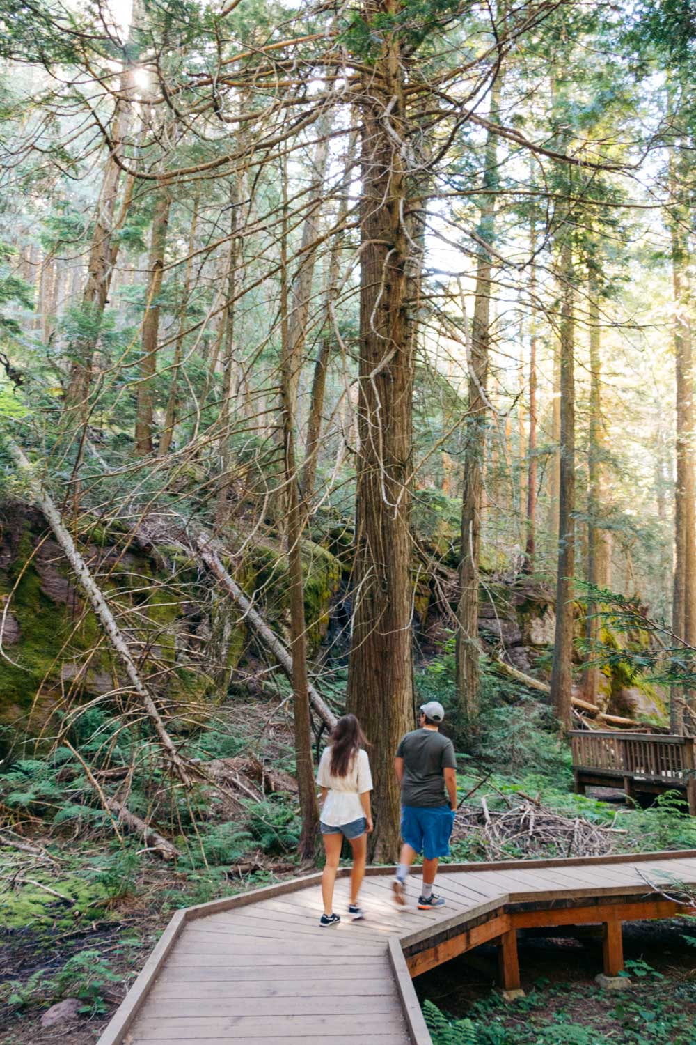 Trail of the Cedars - Roads and Destinations