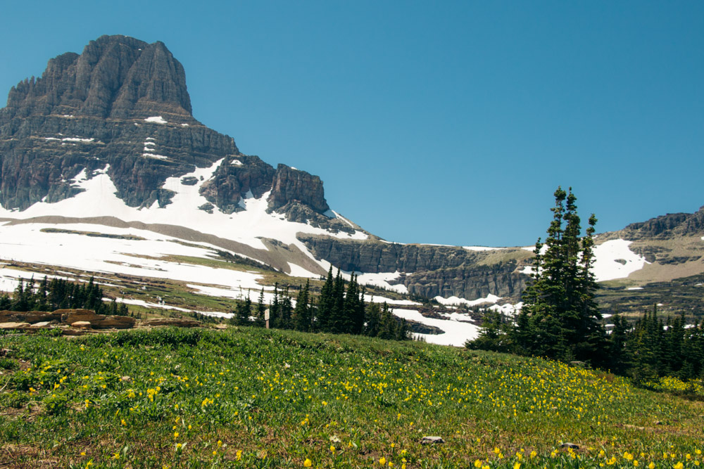 Logan Pass - Roads and Destinations