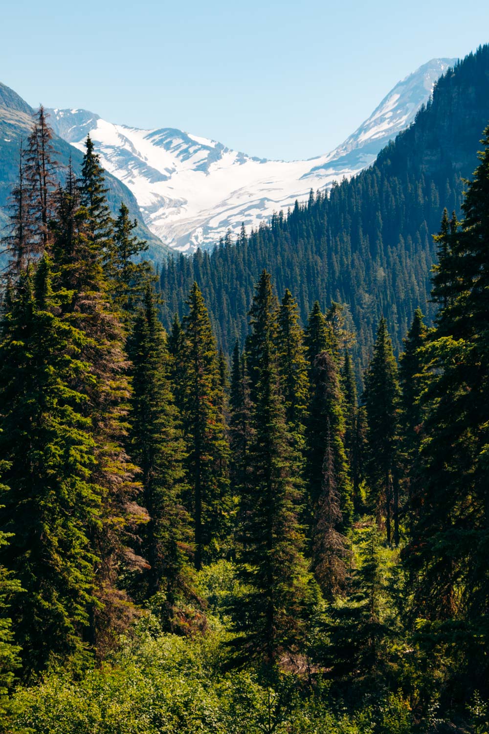 Going-to-the-Sun Road - Roads and Destinations