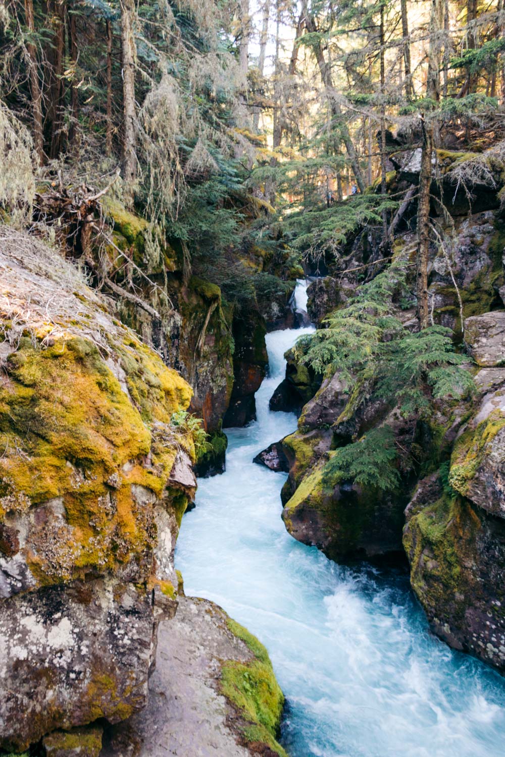 Glacier National Park Travel Guide, Visit 5 Main Sections - Roads and Destinations