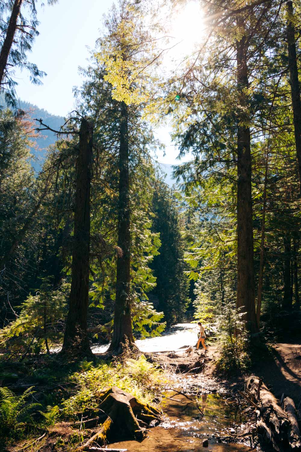 Glacier National Park Travel Guide, Visit 5 Main Sections - Roads and Destinations