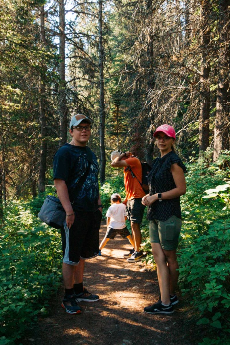 How to Protect Yourself from Bears in the Wild Tips and Myths Roads