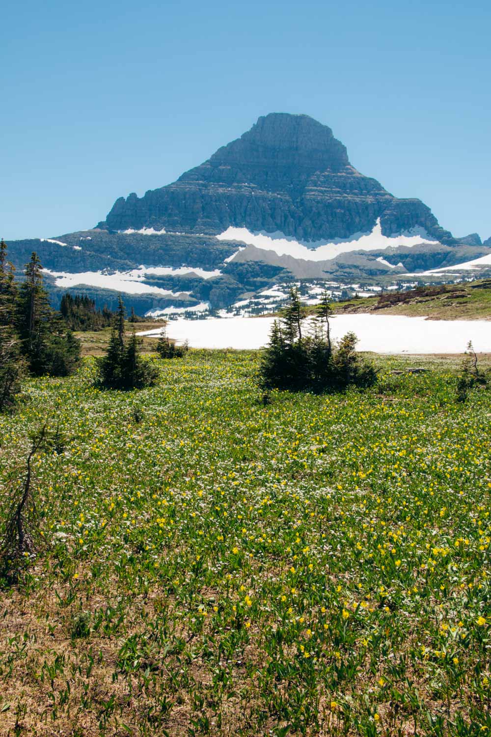 Logan Pass - Roads and Destinations