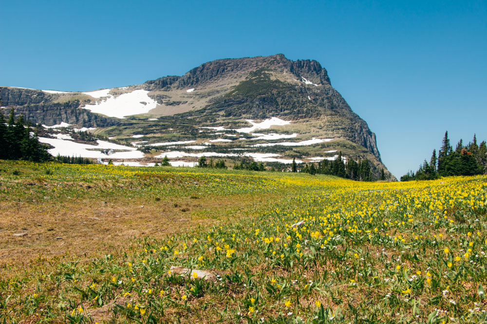 Iconic Photo Spots in Glacier National Park - Roads and Destinations