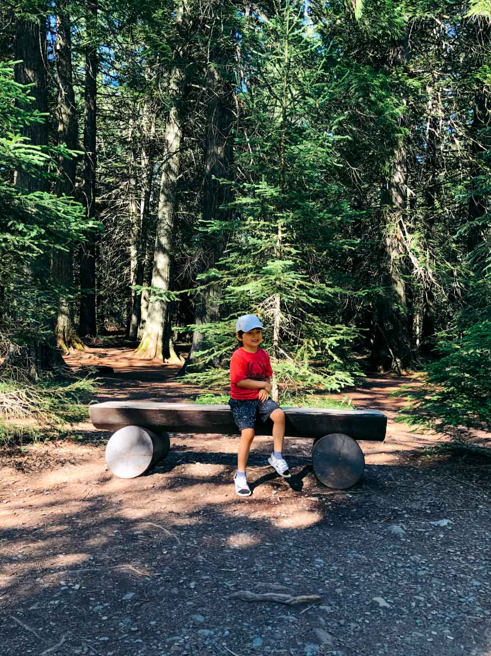 The best trails for hiking with small kids in Glacier National Park - Roads and Destinations