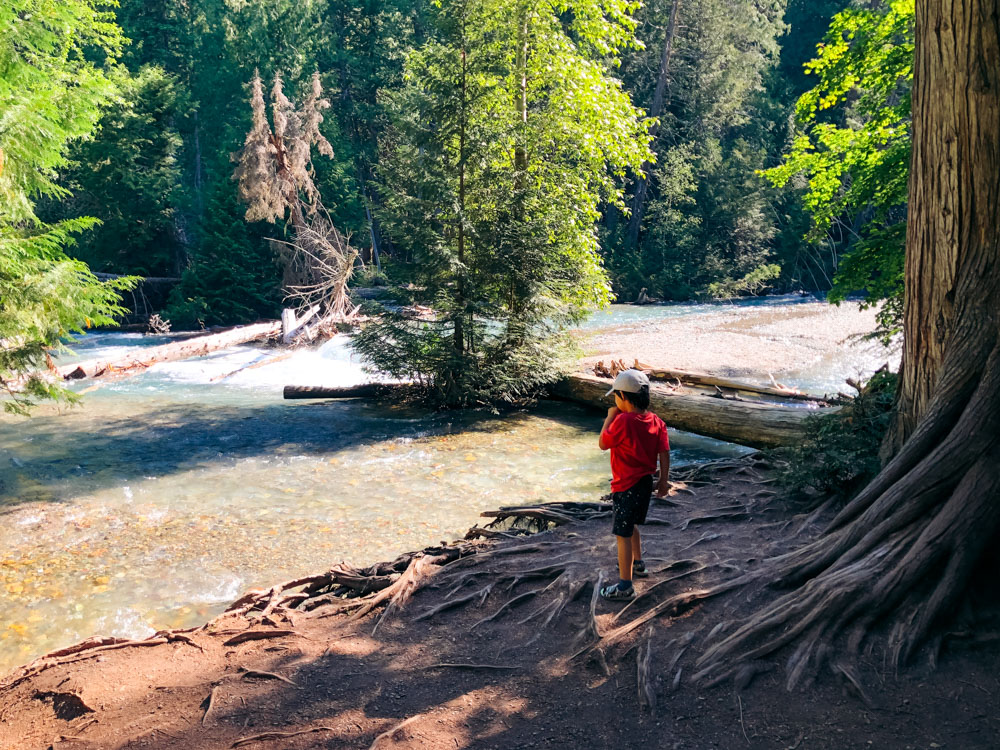 The best trails for hiking with small kids in Glacier National Park - Roads and Destinations