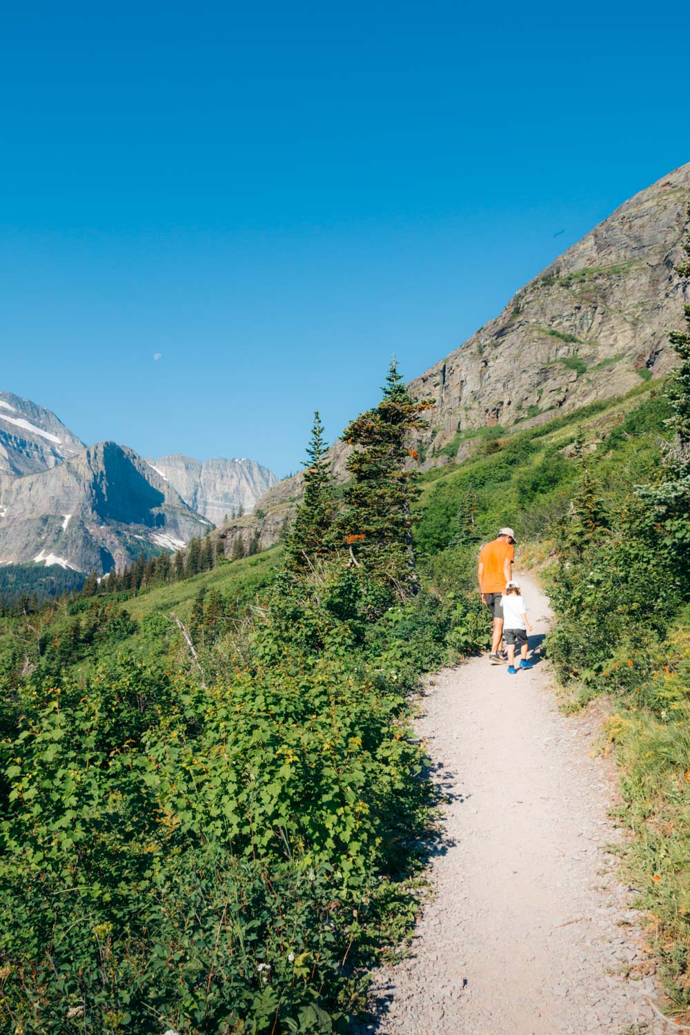 The best trails for hiking with small kids in Glacier National Park - Roads and Destinations