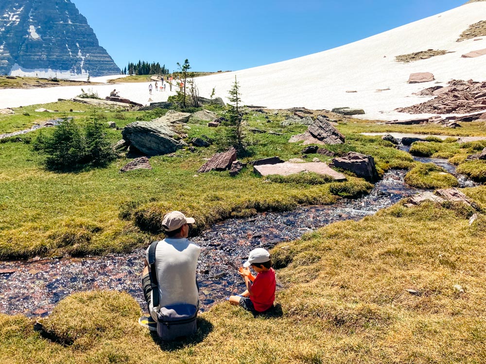 The best trails for hiking with small kids in Glacier National Park - Roads and Destinations