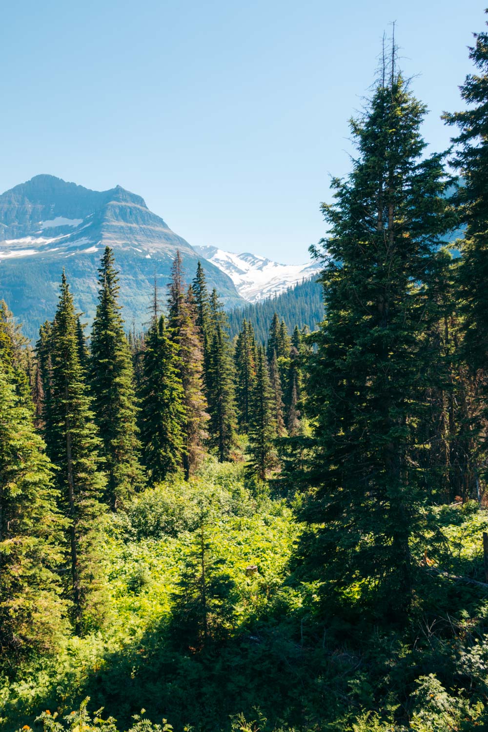 Top Stops to See along the Going-to-the-Sun Road - Roads and Destinations