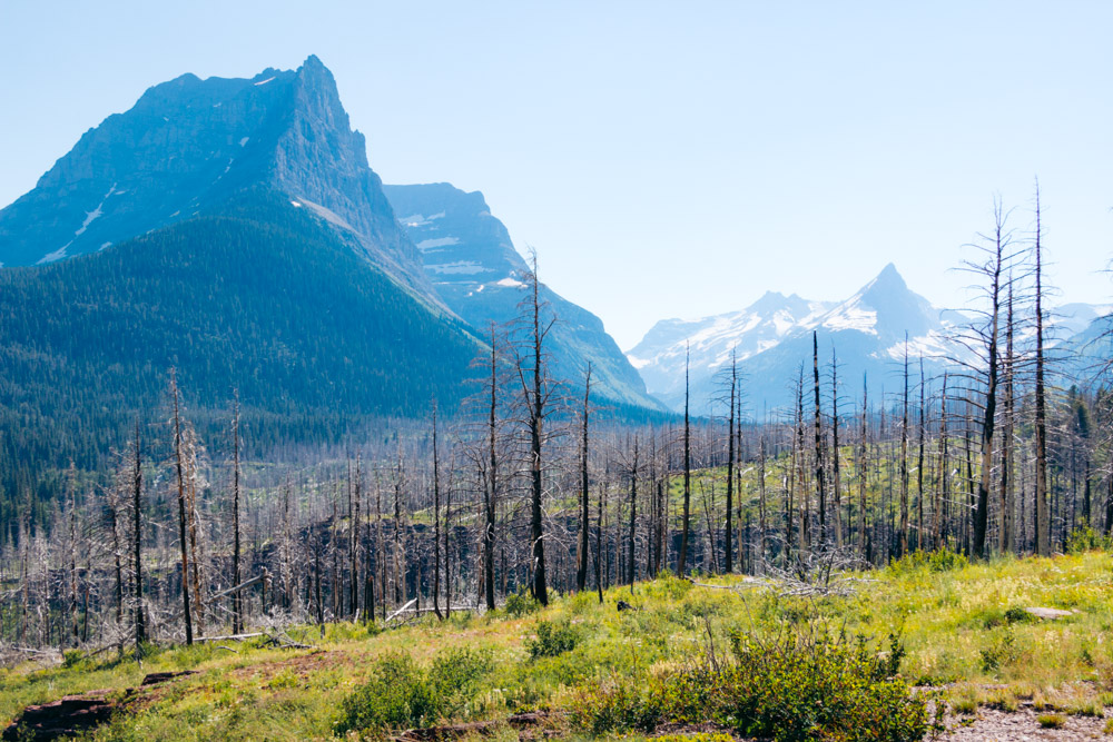 Top Stops to See along the Going-to-the-Sun Road - Roads and Destinations