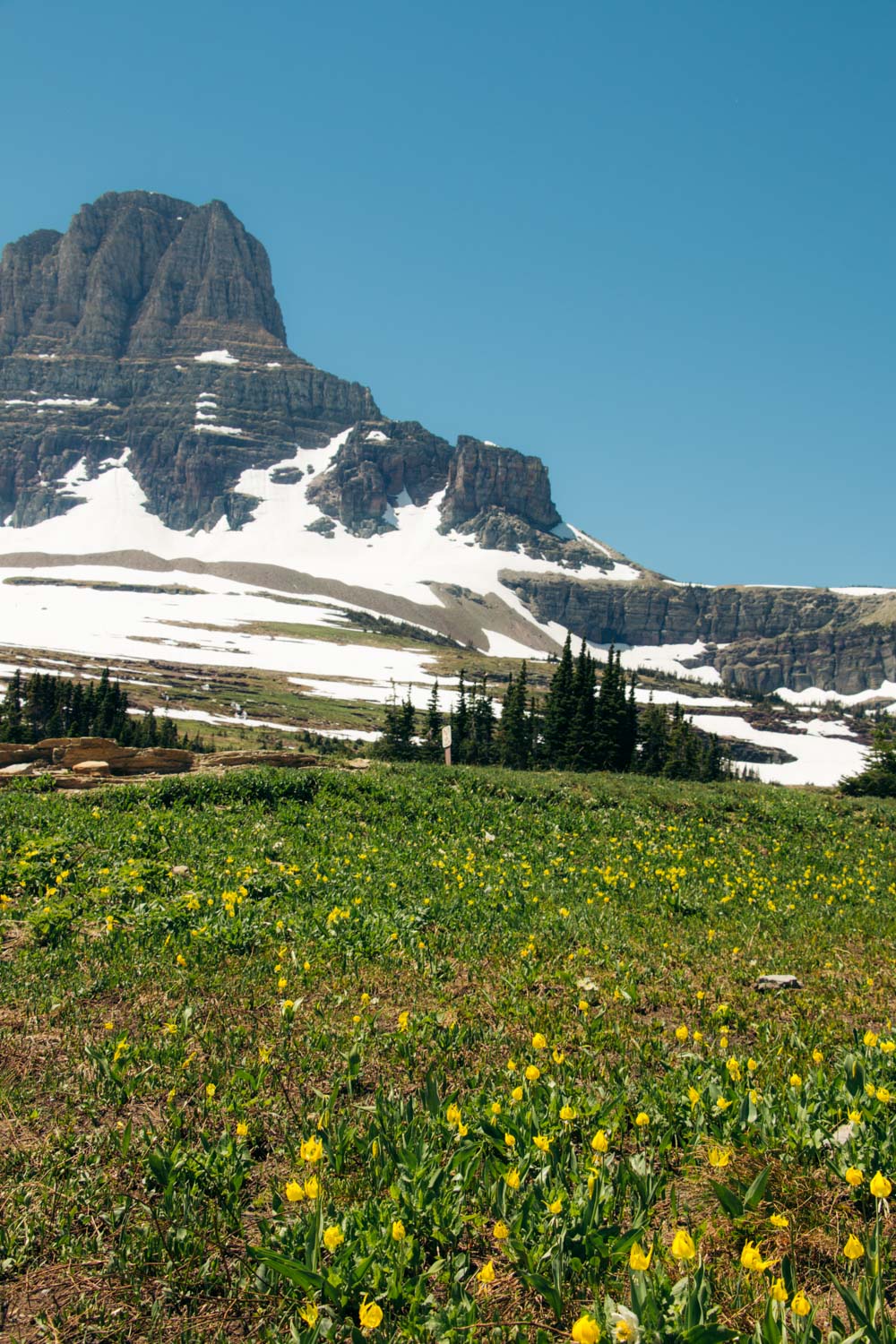 Visit Going-to-the-Sun Road, Entry Ticket - Roads and Destinations