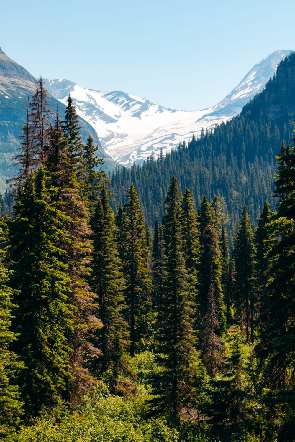 Glacier, Montana - Roads and Destinations