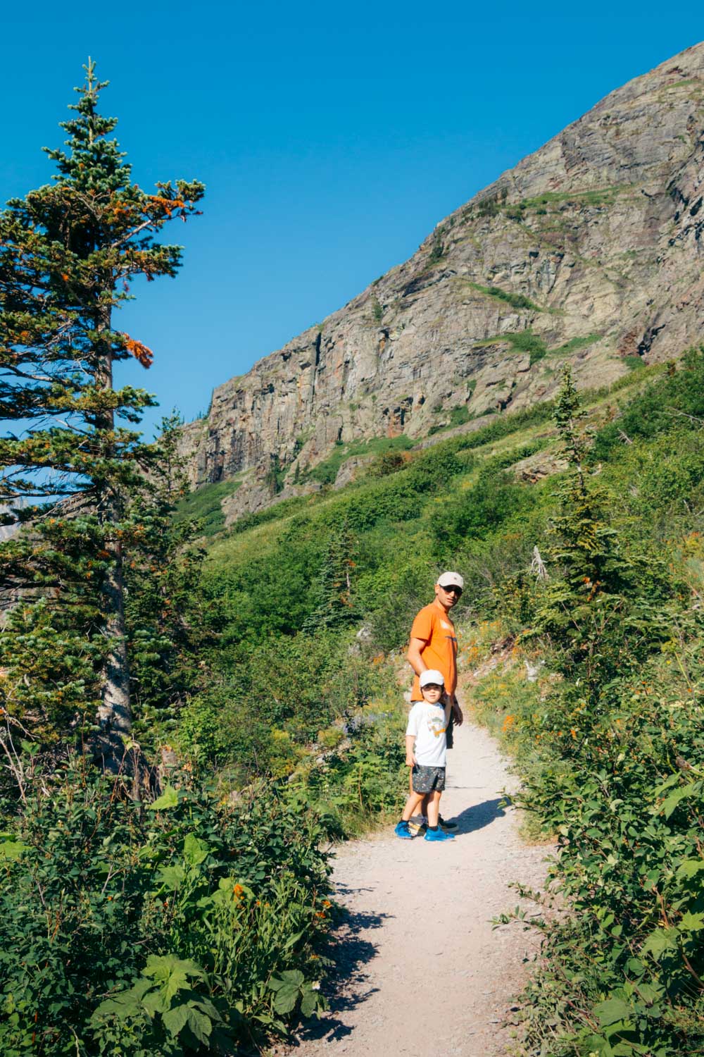 Grinnell Glacier Overlook Trail, Hike in Many Glacier - Roads and Destinations