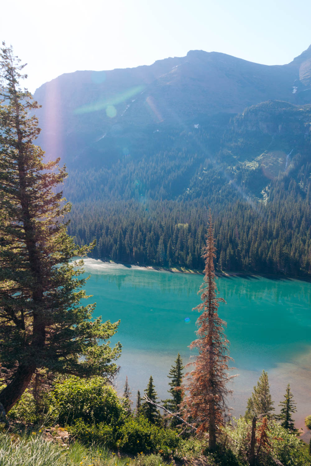 Grinnell Glacier Overlook Trail, Hike in Many Glacier - Roads and Destinations