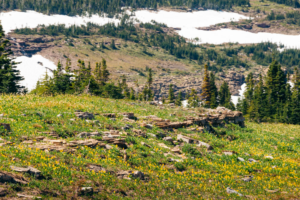 Hidden Lake Overlook Hike ----- Roads and Destinations