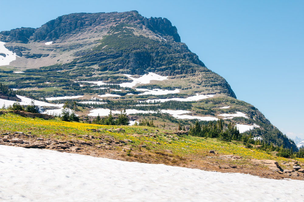 Hidden Lake Overlook Hike ----- Roads and Destinations