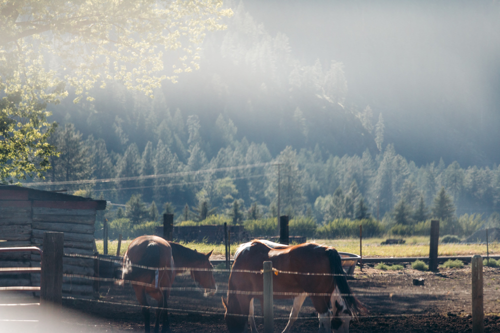 Proctor, Montana - Roads and Destinations