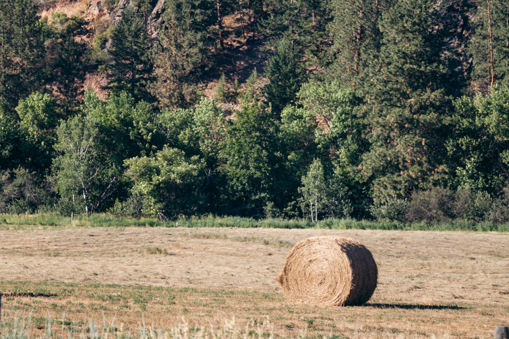 Spokane to Glacier National Park Road Trip - Roads and Destinations