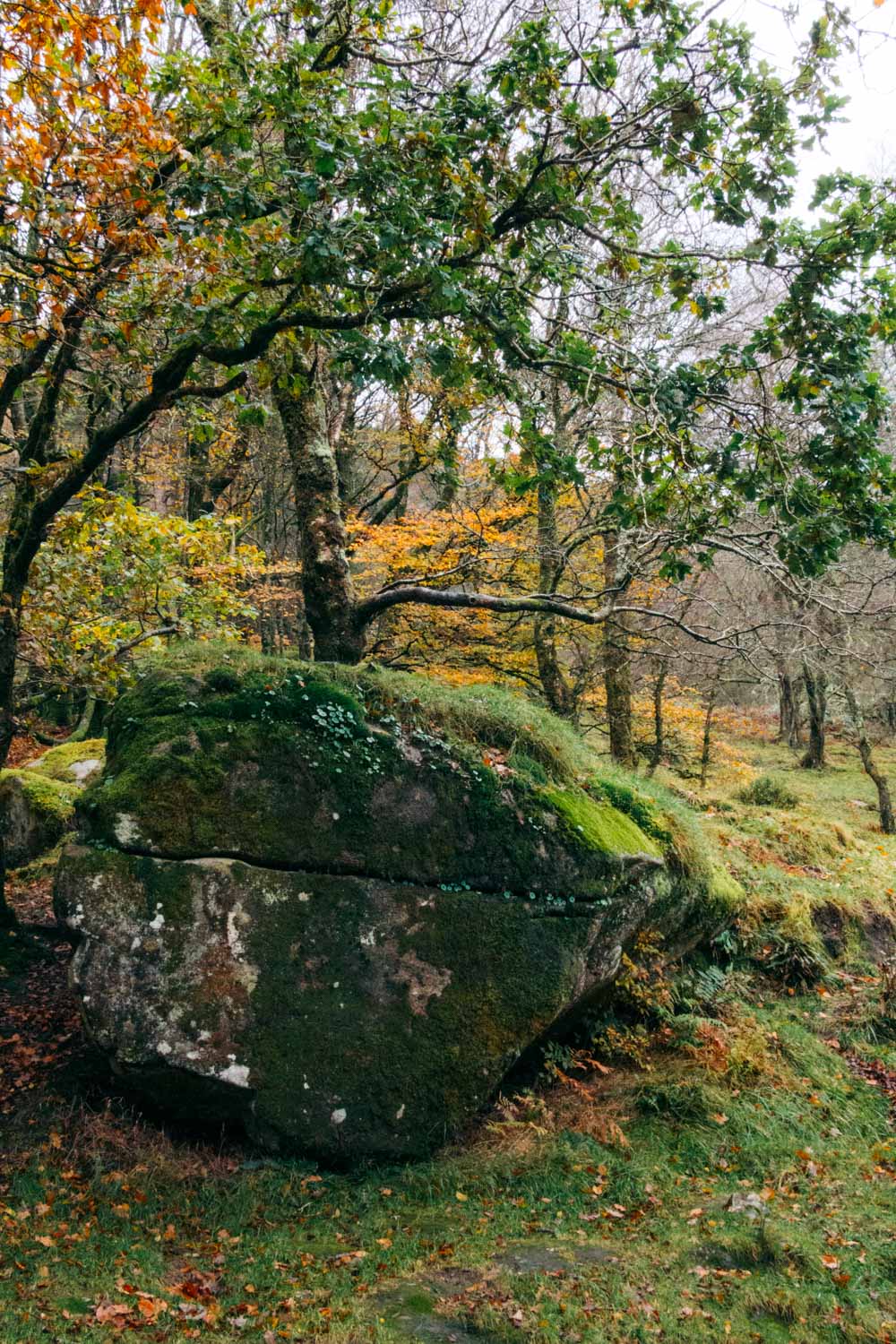 Visit Poulanass Waterfall in Glendalough, Ireland - Roads and Destinations