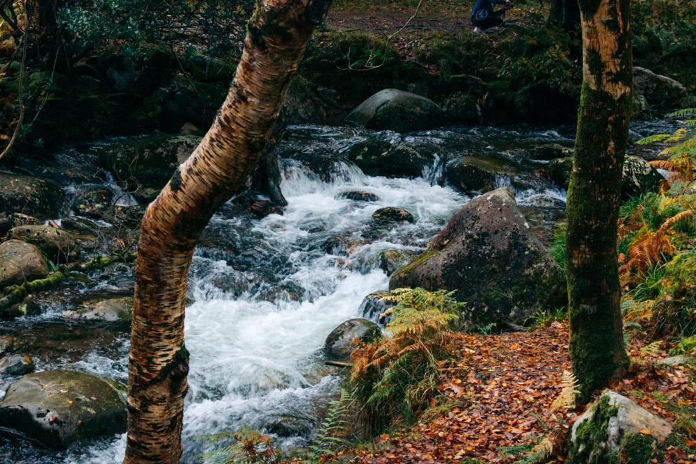 Visit Poulanass Waterfall in Glendalough, Ireland - Roads and Destinations