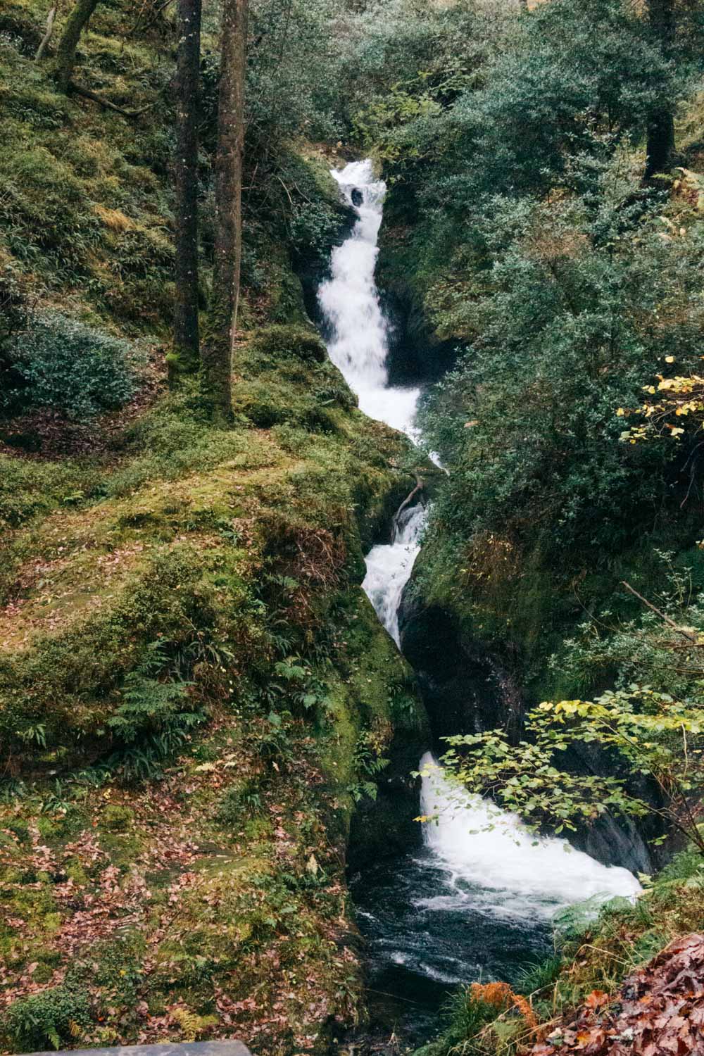 Visit Poulanass Waterfall in Glendalough, Ireland - Roads and Destinations