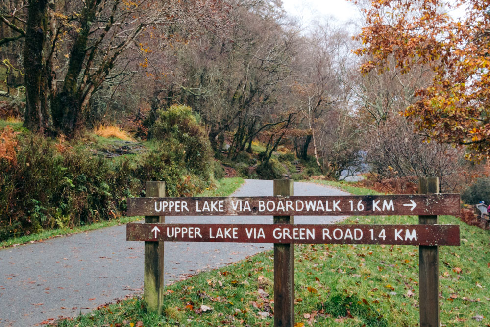 Visit Poulanass Waterfall in Glendalough, Ireland - Roads and Destinations