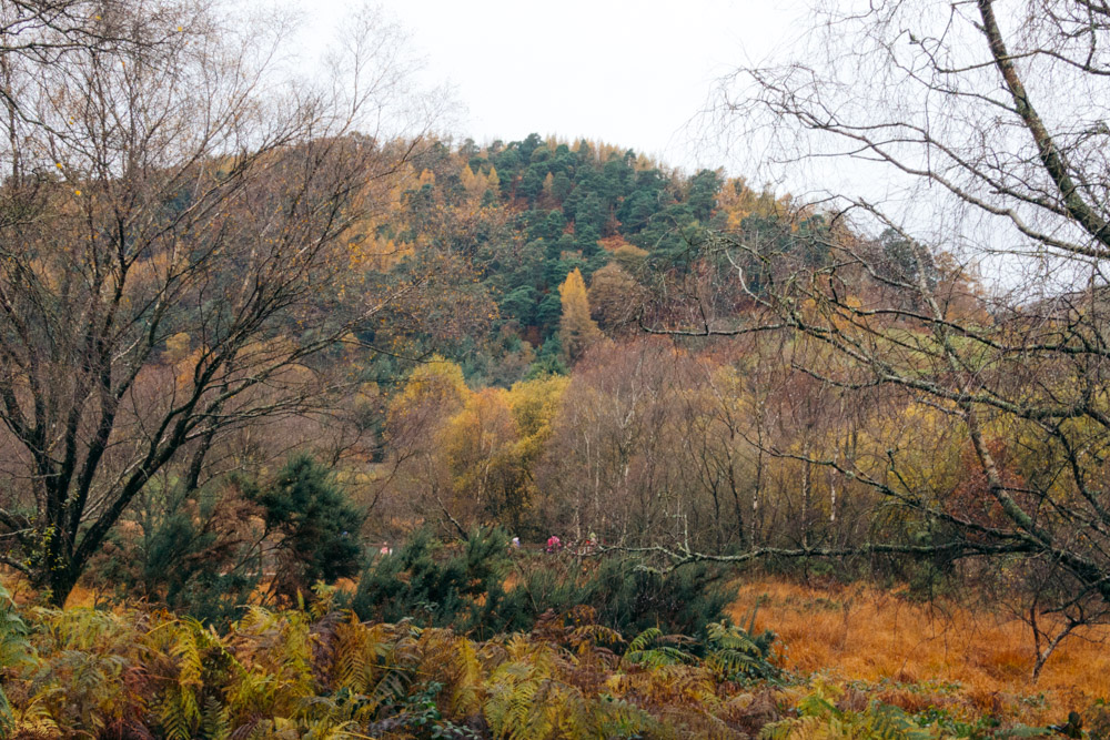 Visit Poulanass Waterfall in Glendalough, Ireland - Roads and Destinations