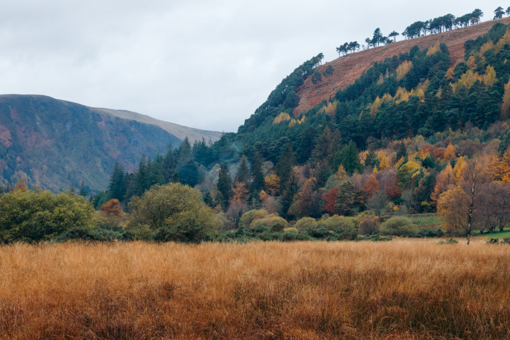 Visit Poulanass Waterfall in Glendalough, Ireland - Roads and Destinations