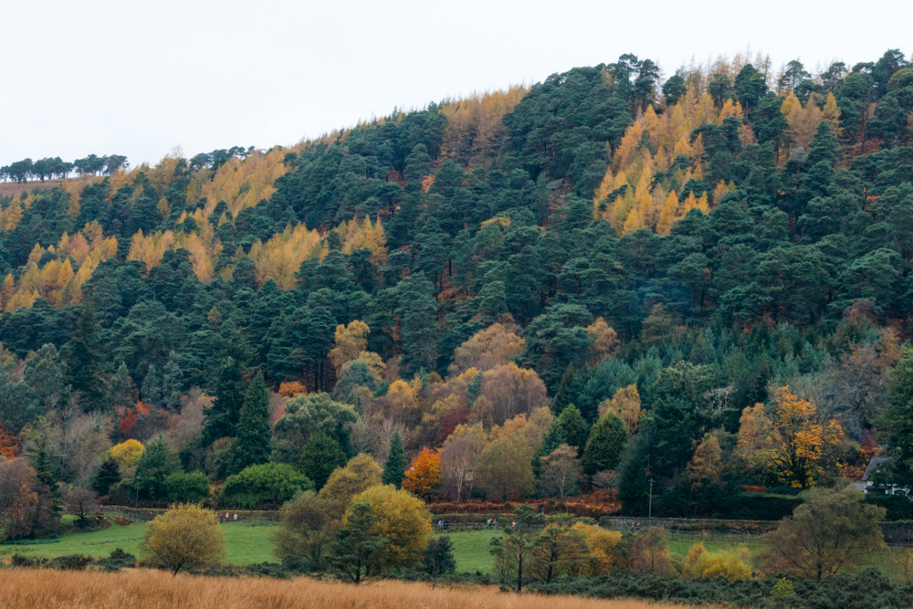 Glendalough, Ireland - Roads and Destinations